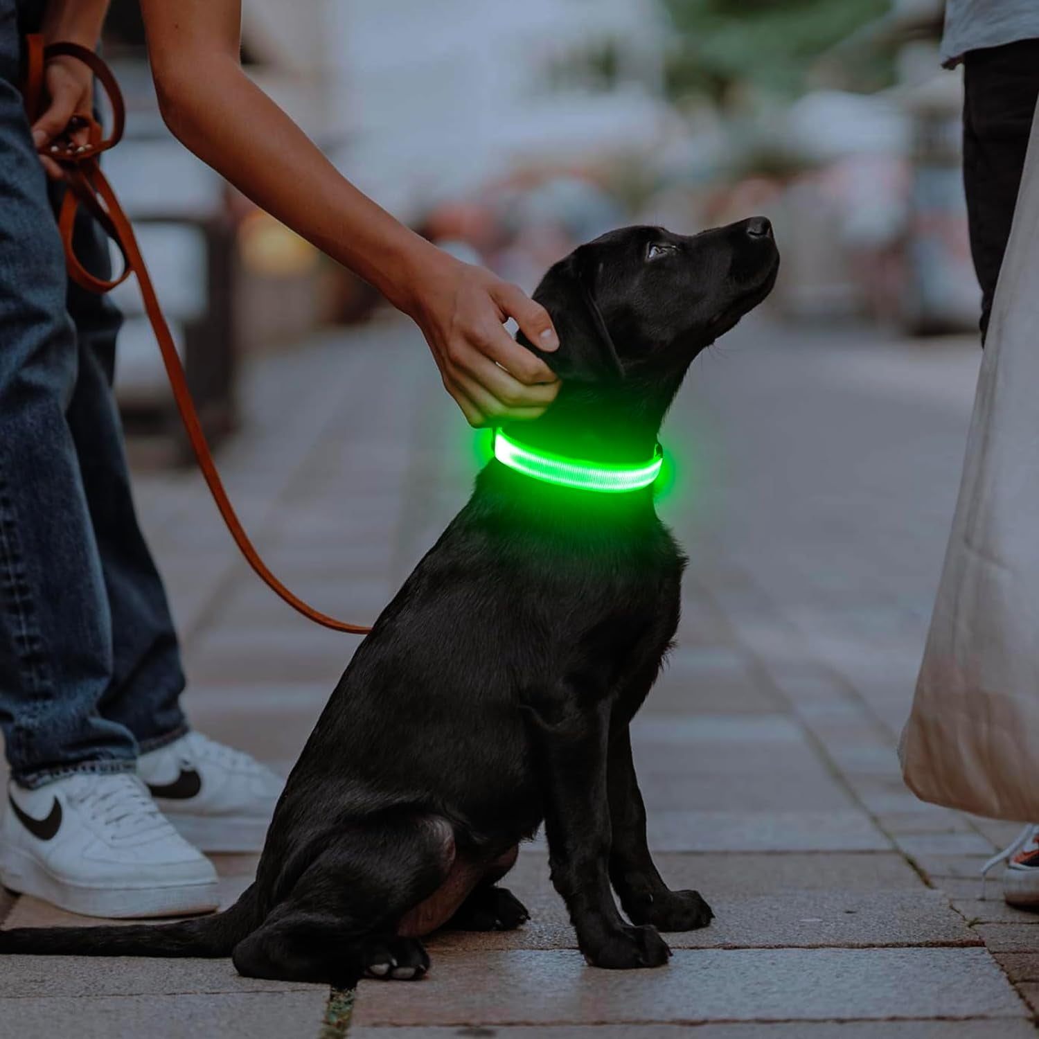 LED Dog Collar, USB Rechargeable Light up Dog Collars Glow in the Dark, Adjustable Dog Safety Collar Light Make Your Dogs Be Visible& Safe at Night (Green, Large)