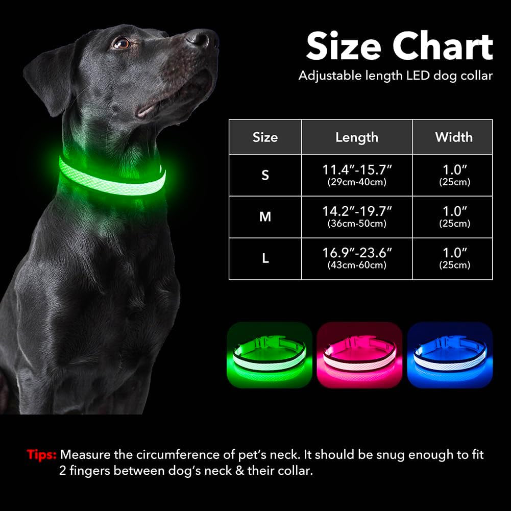 Light up Dog Collar - USB Rechargeable LED Dog Collar Glow in the Dark - High Visibility Glow Collar for Night Walking (Small, Green-Mesh)