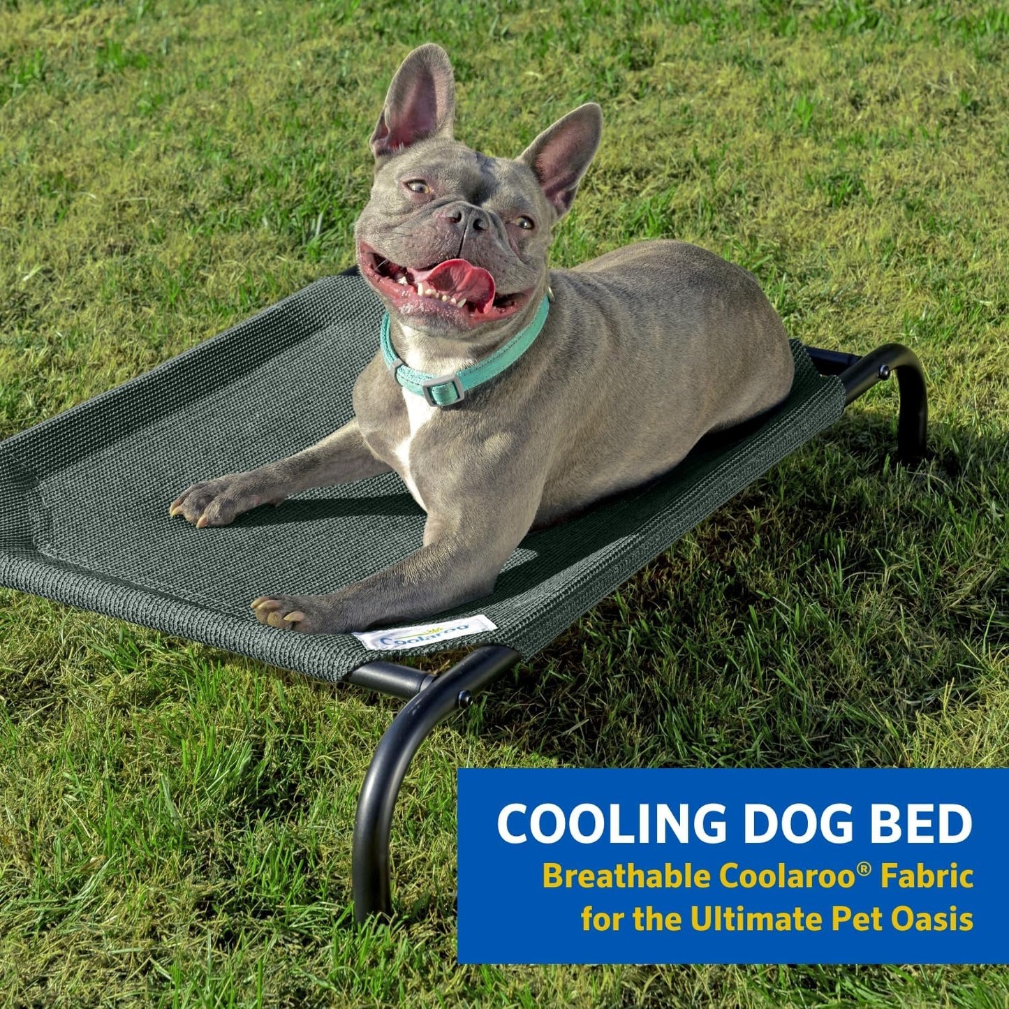 the Original Cooling Elevated Dog Bed, Indoor and Outdoor, Medium, Gunmetal