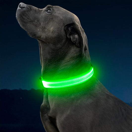 LED Dog Collar, USB Rechargeable Light up Dog Collars Glow in the Dark, Adjustable Dog Safety Collar Light Make Your Dogs Be Visible& Safe at Night (Green, Large)