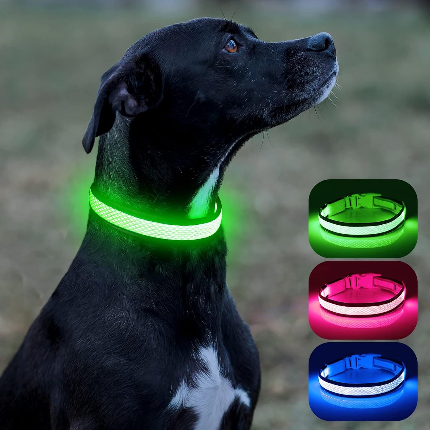 Light up Dog Collar - USB Rechargeable LED Dog Collar Glow in the Dark - High Visibility Glow Collar for Night Walking (Small, Green-Mesh)