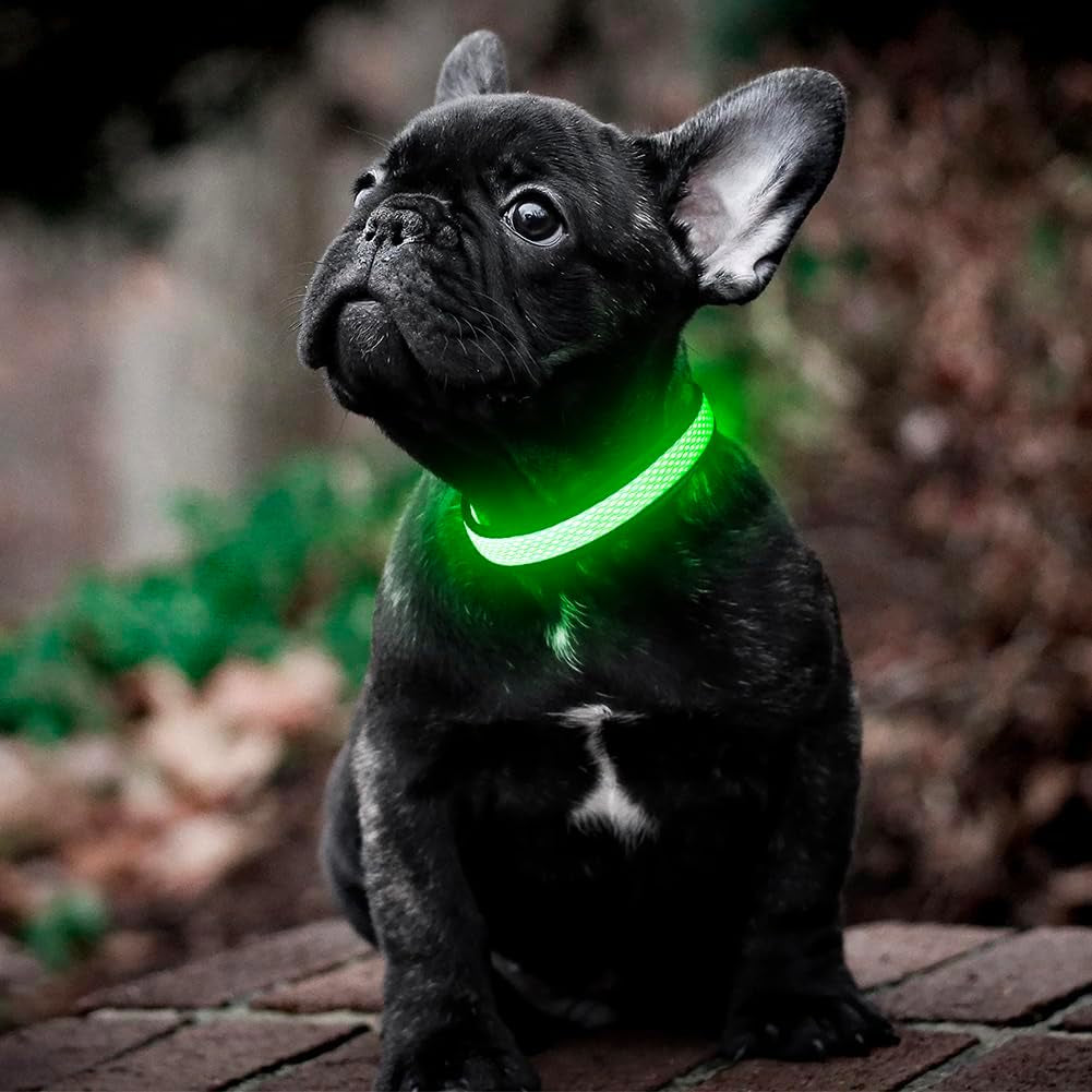 Light up Dog Collar - USB Rechargeable LED Dog Collar Glow in the Dark - High Visibility Glow Collar for Night Walking (Small, Green-Mesh)