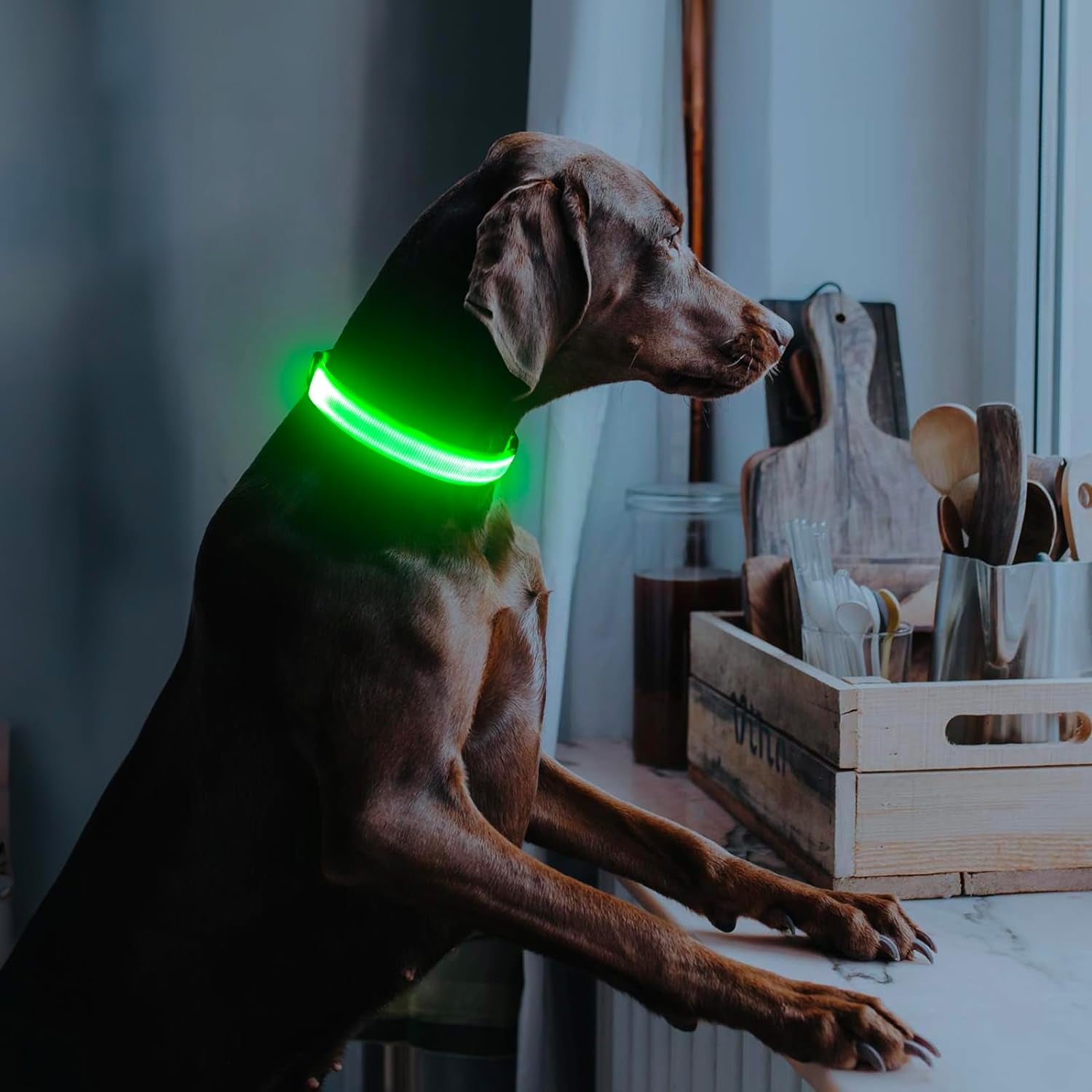 LED Dog Collar, USB Rechargeable Light up Dog Collars Glow in the Dark, Adjustable Dog Safety Collar Light Make Your Dogs Be Visible& Safe at Night (Green, Large)